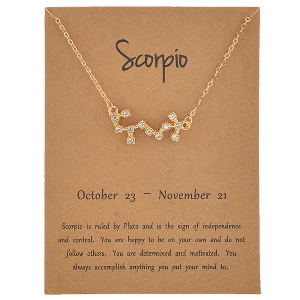 SCORPIO constellation necklace 💫